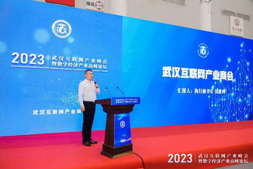 武漢互聯(lián)網(wǎng)產(chǎn)業(yè)峰會(huì)暨數(shù)字經(jīng)濟(jì)產(chǎn)業(yè)高峰論壇圓滿舉行，引領(lǐng)企業(yè)網(wǎng)站創(chuàng)新與變革