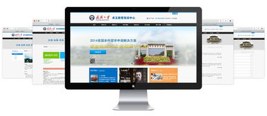 武漢大學(xué)卓玉教育培訓(xùn)中心 打造企業(yè)門戶網(wǎng)站的必要性與實(shí)踐